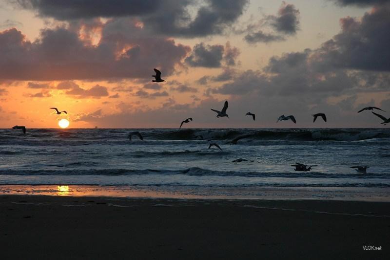 Noordzee 3*